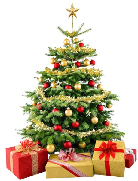 圣诞树PNG透明背景免抠图元素 16图库网编号:38616