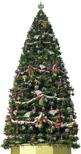圣诞树PNG免抠图透明素材 16设计网编号:38622