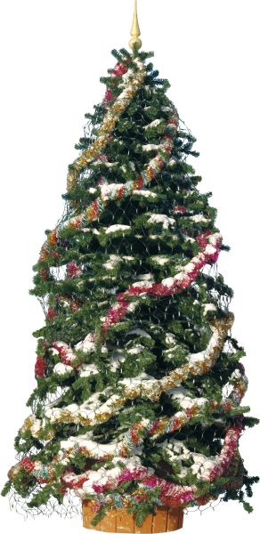 圣诞树PNG透明背景免抠图元素 素材中国编号:38623