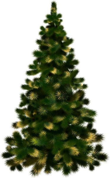 圣诞树PNG透明元素免抠图素材 16素