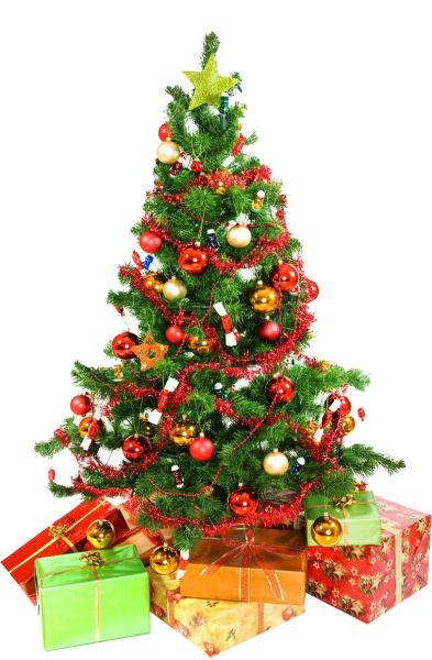 圣诞树PNG免抠图透明素材 16设计网编号:38652