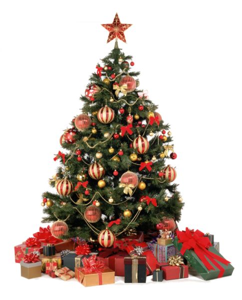 圣诞树PNG透明背景免抠图元素 16图库网编号:38526