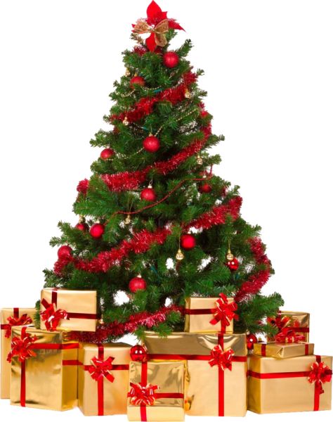 圣诞树PNG免抠图透明素材 16设计网编号:38534