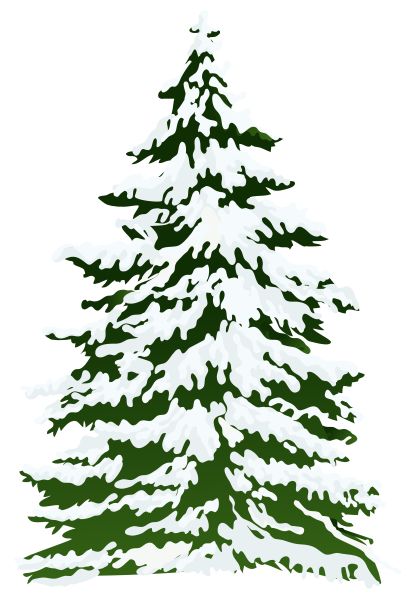 圣诞树PNG免抠图透明素材 普贤居素材编号:38603