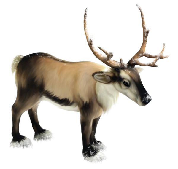 圣诞老人的驯鹿 PNG免抠图透明素材 16设计网编号:94899