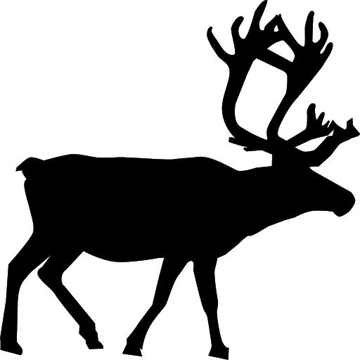 圣诞老人的驯鹿 PNG透明背景免抠图