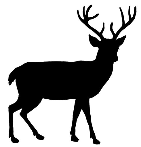 圣诞老人的驯鹿 PNG透明背景免抠图元素 16图库网编号:94961