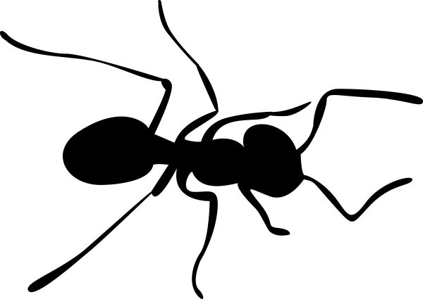 蚂蚁 PNG免抠图透明素材 普贤居素材编号:19336