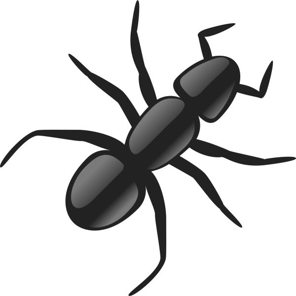 蚂蚁 PNG免抠图透明素材 普贤居素材编号:19343