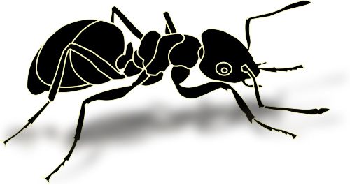 蚂蚁 PNG透明元素免抠图素材 16素材网编号:19356