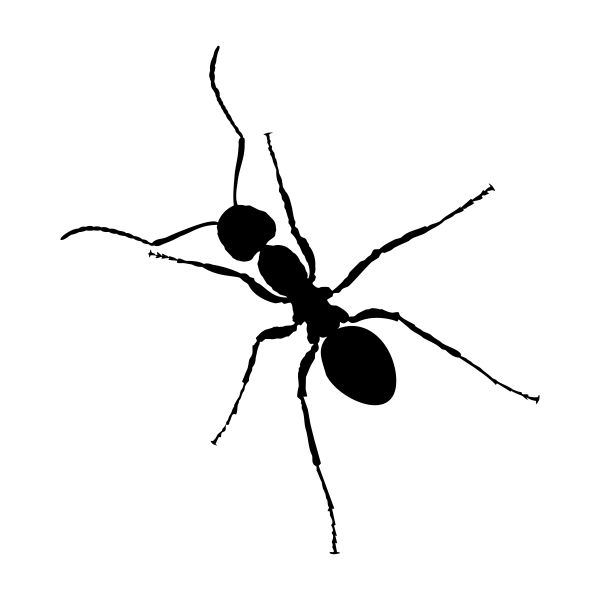 蚂蚁 PNG免抠图透明素材 16设计网编号:19361
