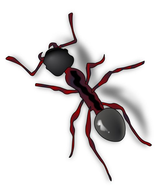 蚂蚁 PNG免抠图透明素材 素材天下