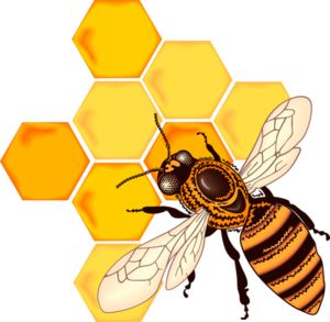 蜜蜂 PNG免抠图透明素材 素材天下编号:74653
