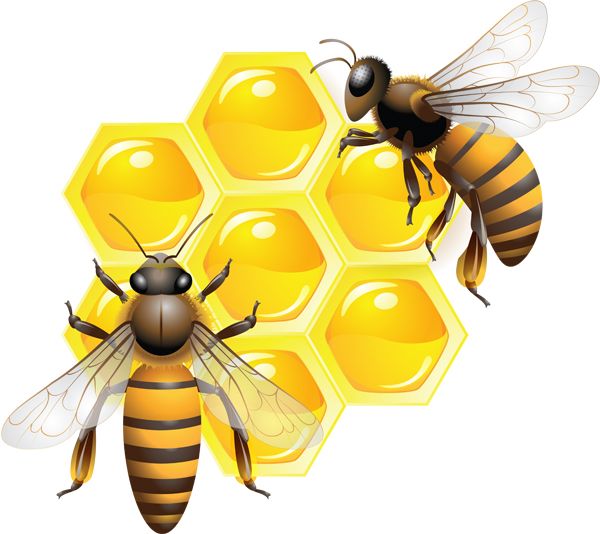 蜜蜂 PNG免抠图透明素材 素材中国编号:74668