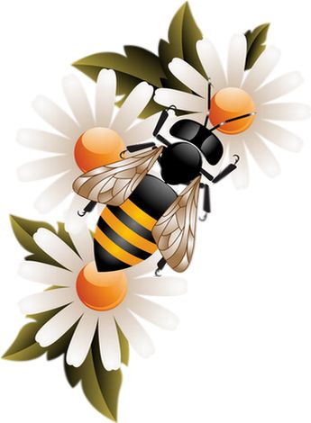 蜜蜂 PNG免抠图透明素材 普贤居素材编号:74672