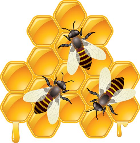蜜蜂 PNG免抠图透明素材 素材中国编号:74673