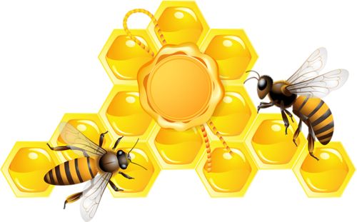 蜜蜂 PNG免抠图透明素材 素材天下编号:74678