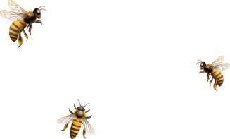 蜜蜂 PNG透明背景免抠图元素 素材中国编号:74682