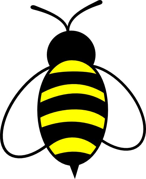 蜜蜂 PNG透明背景免抠图元素 16图库网编号:74684
