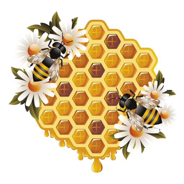 蜜蜂 PNG透明背景免抠图元素 素材中国编号:74688