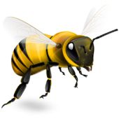 蜜蜂 PNG免抠图透明素材 16设计网编号:74703