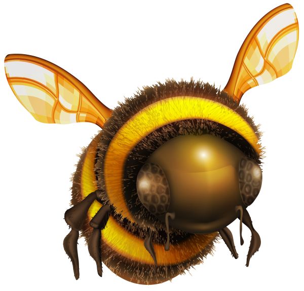 蜜蜂 PNG免抠图透明素材 普贤居素材编号:74708