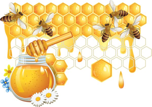 蜜蜂 PNG透明背景免抠图元素 16图库网编号:74722