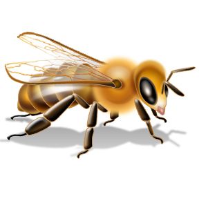 蜜蜂PNG透明背景免抠图元素 16图库网编号:4296