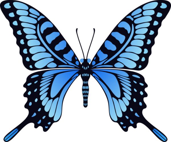 蓝色蝴蝶PNG免抠图透明素材 素材中国编号:1014