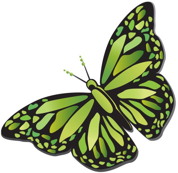 大绿蝴蝶 PNG透明背景免抠图元素 素材中国编号:103814