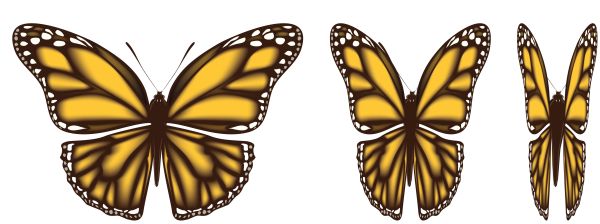 蝴蝶PNG透明背景免抠图元素 素材中国编号:103815