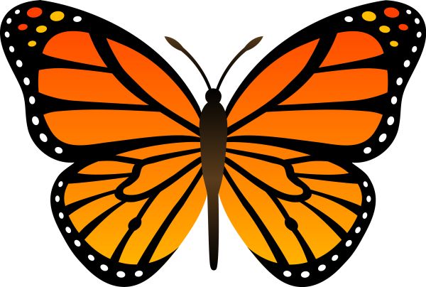 橙色蝴蝶PNG图片，蝴蝶免费下载图片编号:1048