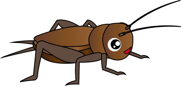 蟋蟀昆虫 PNG透明背景免抠图元素 素材中国编号:76647
