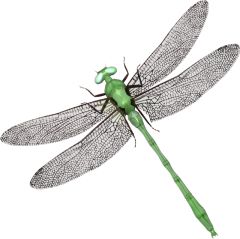 蜻蜓PNG透明元素免抠图素材 16素材网编号:26264
