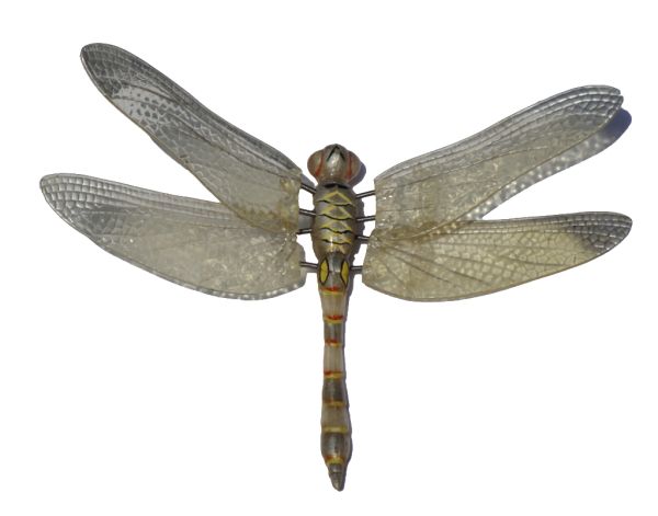 蜻蜓PNG免抠图透明素材 16设计网编号:26267