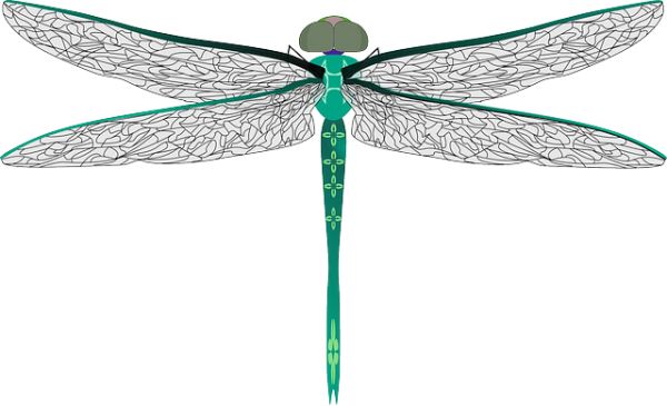 蜻蜓PNG透明元素免抠图素材 16素材网编号:26279