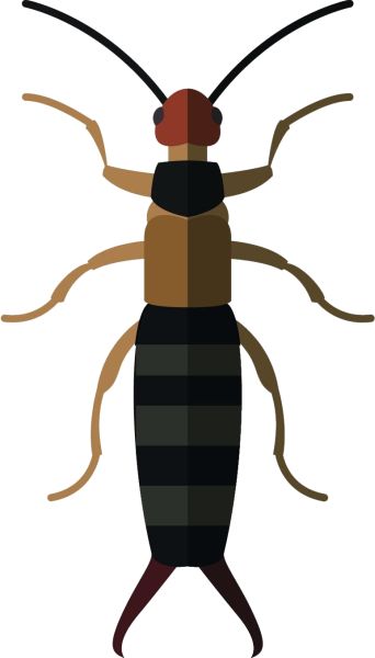 蜈蚣PNG免抠图透明素材 16设计网编