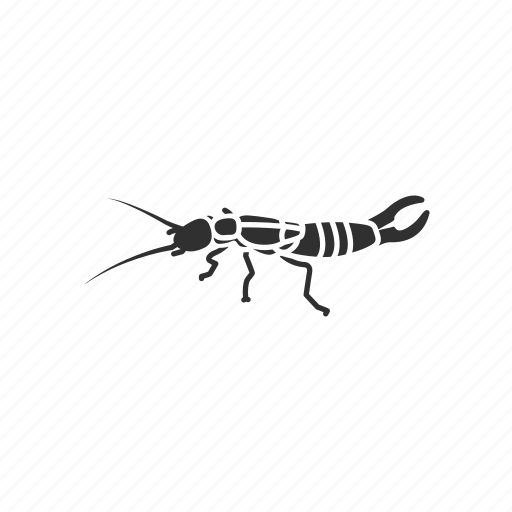 蜈蚣PNG透明背景免抠图元素 16图库