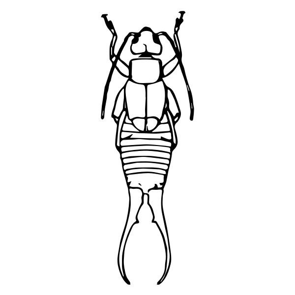 蜈蚣PNG免抠图透明素材 素材中国编号:106627