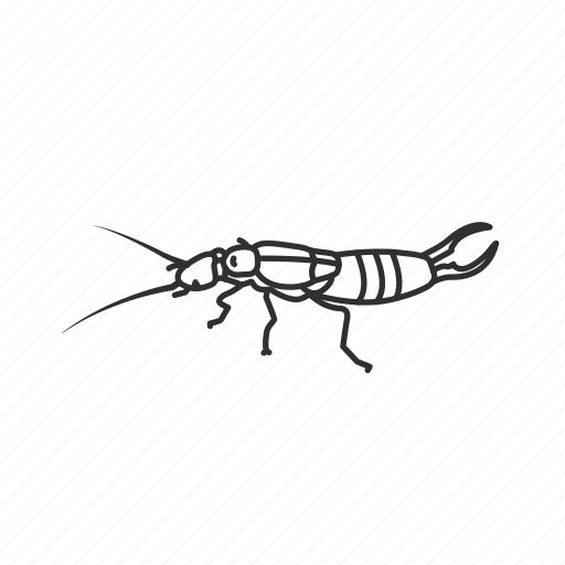 蜈蚣PNG免抠图透明素材 素材天下编号:106628