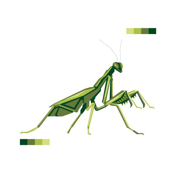 螳螂 PNG免抠图透明素材 16设计网编号:67029