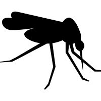 蚊子 PNG透明背景免抠图元素 16图库网编号:18146