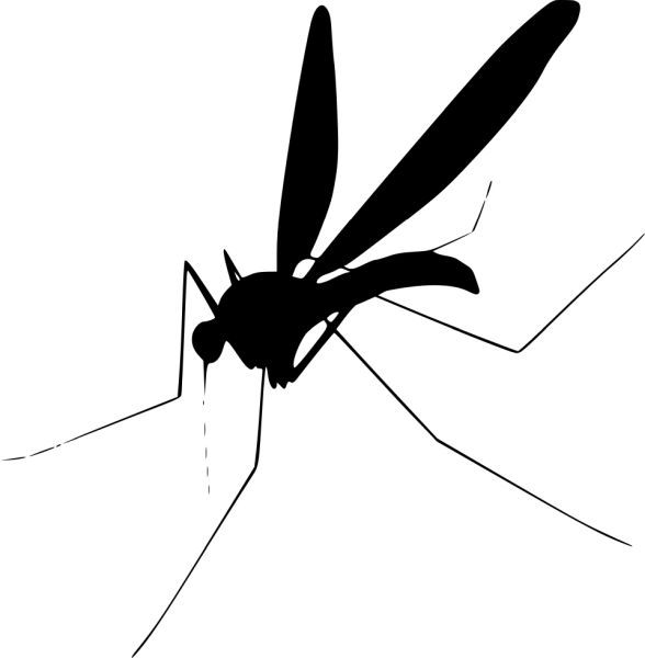 蚊子 PNG免抠图透明素材 素材中国编号:18147