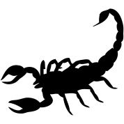 蝎子纹身 PNG透明背景免抠图元素 素材中国编号:12129