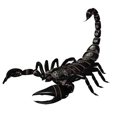 蝎子 PNG免抠图透明素材 16设计网编号:12138