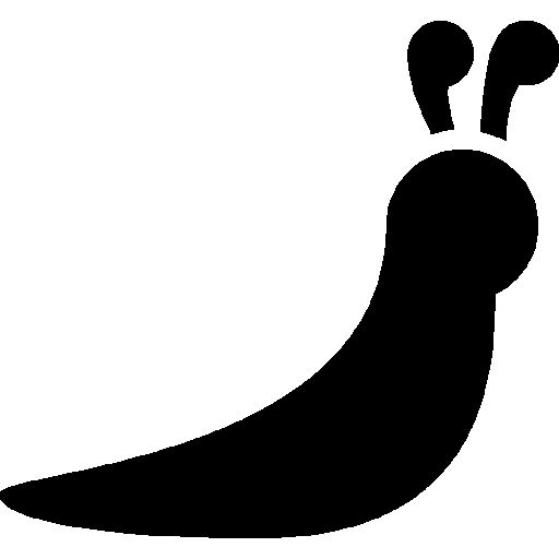 Slug PNG透明背景免抠图元素 16图库网编号:87315