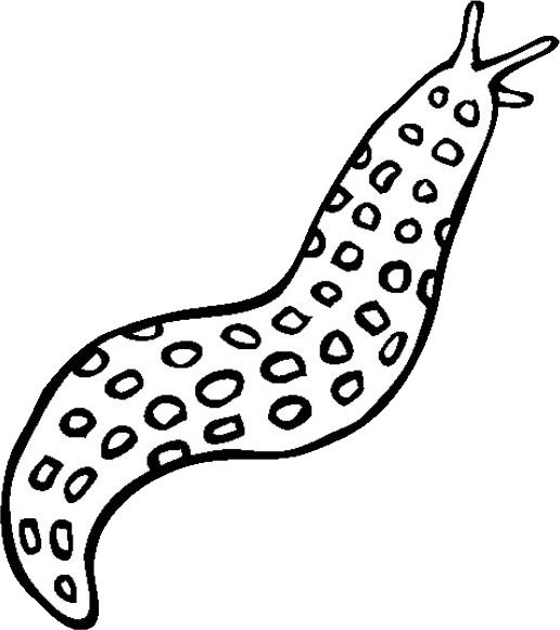 Slug PNG免抠图透明素材 普贤居素材编号:87306