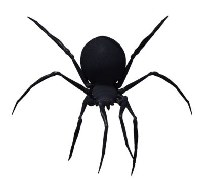 黑寡妇蜘蛛PNG免抠图透明素材 16设计网编号:4556