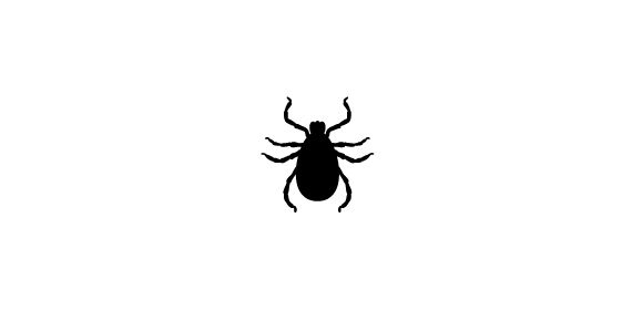 蜱虫PNG免抠图透明素材 16设计网编号:51904