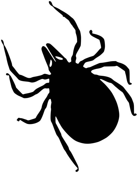 蜱虫PNG免抠图透明素材 16设计网编